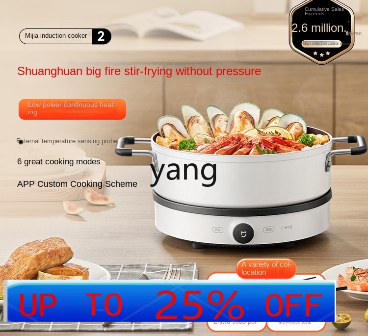 LMM  Induction Cooker Househol - огляд і ціна Induction Cooker