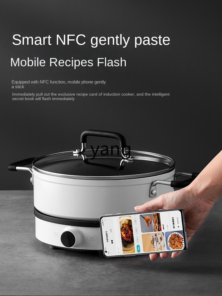 LMM  Induction Cooker Househol - огляд і ціна Induction Cooker