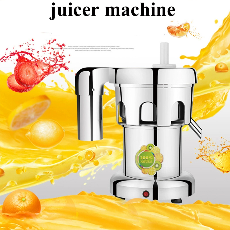 220V Juicers Electric Professi - огляд і ціна Juicer